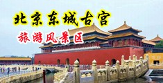 国产美女操逼逼嫖娼视频中国北京-东城古宫旅游风景区